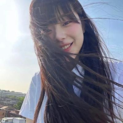 玫瑰计划